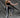 The Zip Leggings TALL